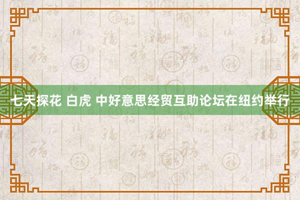 七天探花 白虎 中好意思经贸互助论坛在纽约举行