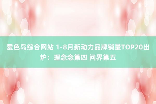 爱色岛综合网站 1-8月新动力品牌销量TOP20出炉：理念念第四 问界第五