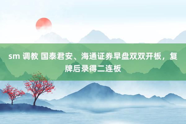 sm 调教 国泰君安、海通证券早盘双双开板,复牌后录得二连板