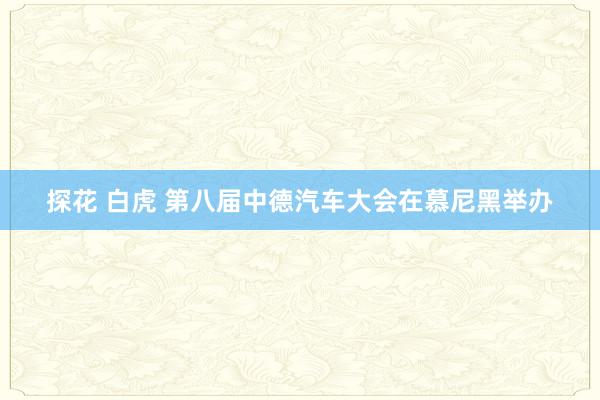 探花 白虎 第八届中德汽车大会在慕尼黑举办