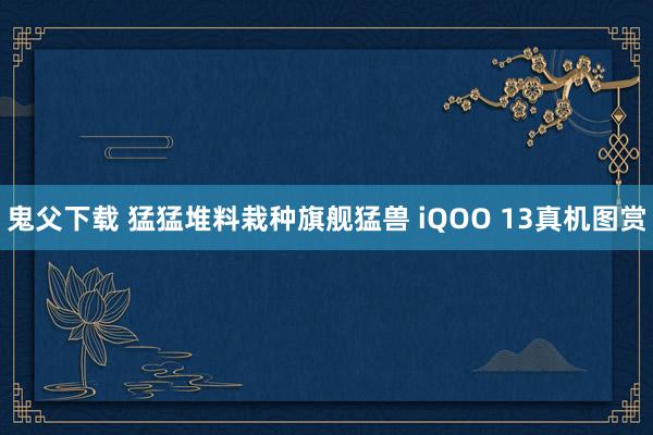 鬼父下载 猛猛堆料栽种旗舰猛兽 iQOO 13真机图赏
