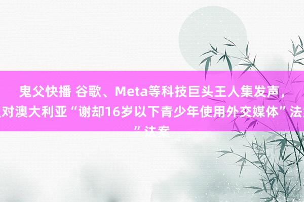 鬼父快播 谷歌、Meta等科技巨头王人集发声，反对澳大利亚“谢却16岁以下青少年使用外交媒体”法案