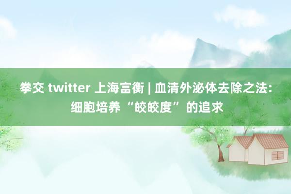 拳交 twitter 上海富衡 | 血清外泌体去除之法: 细胞培养 “皎皎度” 的追求
