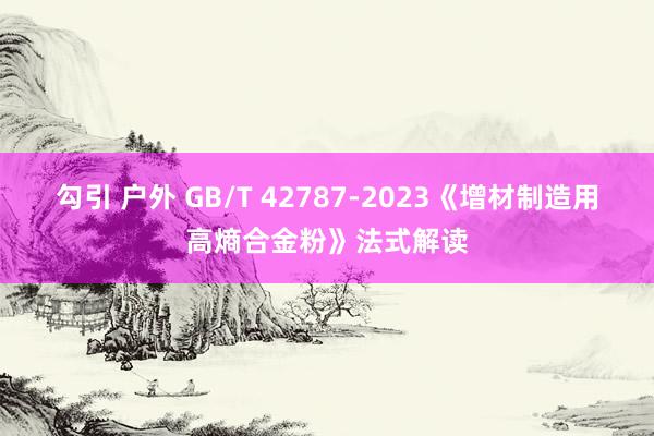 勾引 户外 GB/T 42787-2023《增材制造用高熵合金粉》法式解读