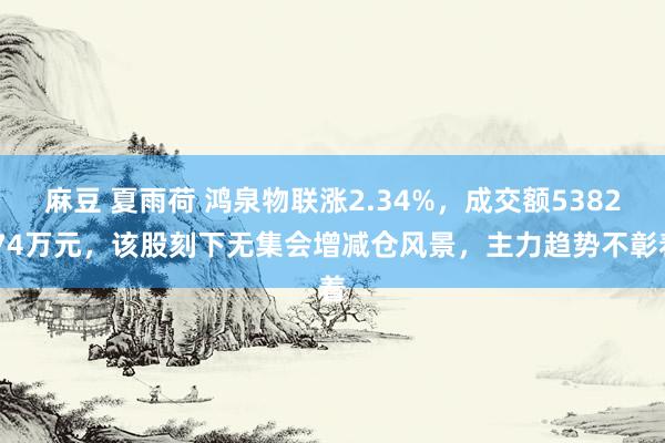 麻豆 夏雨荷 鸿泉物联涨2.34%，成交额5382.74万元，该股刻下无集会增减仓风景，主力趋势不彰着