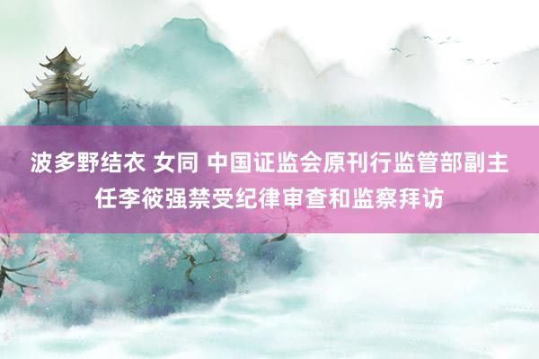 波多野结衣 女同 中国证监会原刊行监管部副主任李筱强禁受纪律审查和监察拜访