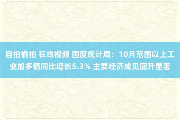 自拍偷拍 在线视频 国度统计局：10月范围以上工业加多值同比增长5.3% 主要经济成见回升显著