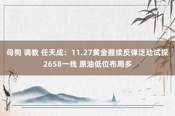 母狗 调教 任天成：11.27黄金握续反弹泛动试探2658一线 原油低位布局多