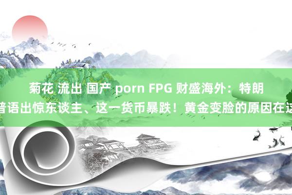 菊花 流出 国产 porn FPG 财盛海外：特朗普语出惊东谈主、这一货币暴跌！黄金变脸的原因在这
