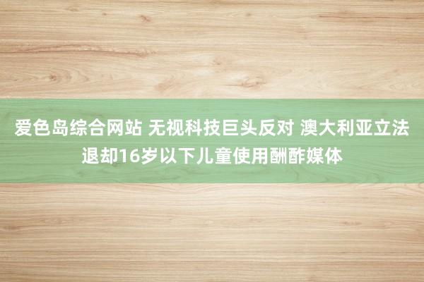 爱色岛综合网站 无视科技巨头反对 澳大利亚立法退却16岁以下儿童使用酬酢媒体