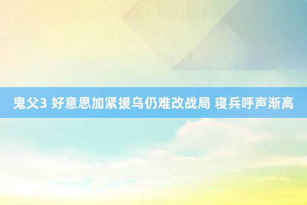 鬼父3 好意思加紧援乌仍难改战局 寝兵呼声渐高