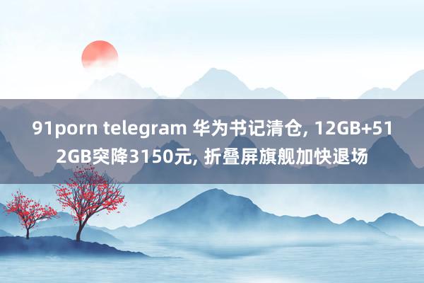 91porn telegram 华为书记清仓， 12GB+512GB突降3150元， 折叠屏旗舰加快退场