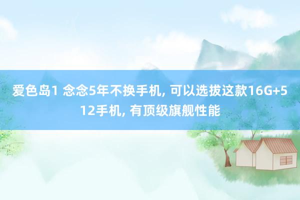 爱色岛1 念念5年不换手机， 可以选拔这款16G+512手机， 有顶级旗舰性能