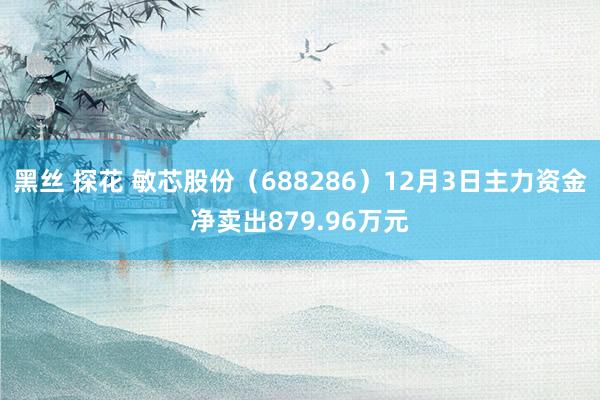 黑丝 探花 敏芯股份（688286）12月3日主力资金净卖出879.96万元