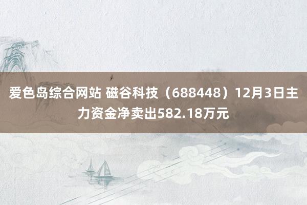 爱色岛综合网站 磁谷科技（688448）12月3日主力资金净卖出582.18万元