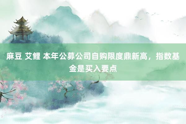 麻豆 艾鲤 本年公募公司自购限度鼎新高，指数基金是买入要点