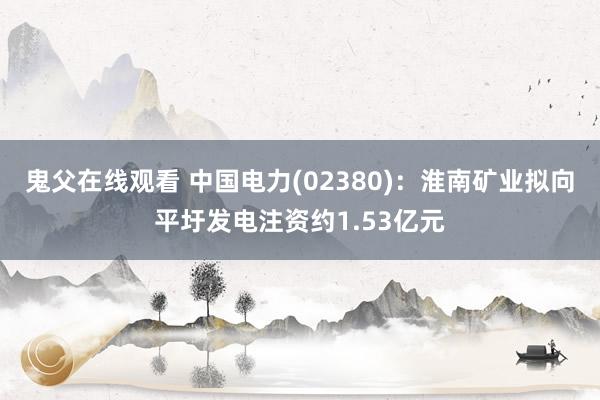 鬼父在线观看 中国电力(02380)：淮南矿业拟向平圩发电注资约1.53亿元