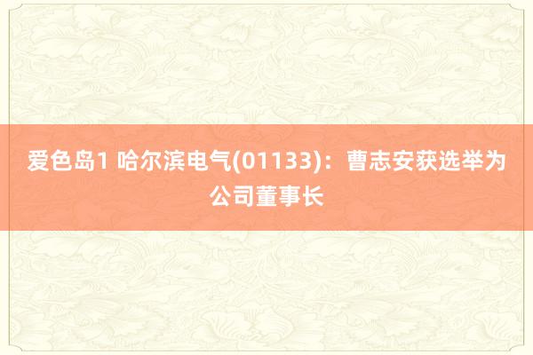 爱色岛1 哈尔滨电气(01133)：曹志安获选举为公司董事长