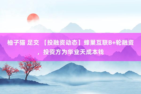 柚子猫 足交 【投融资动态】蜂巢互联B+轮融资，投资方为华业天成本钱