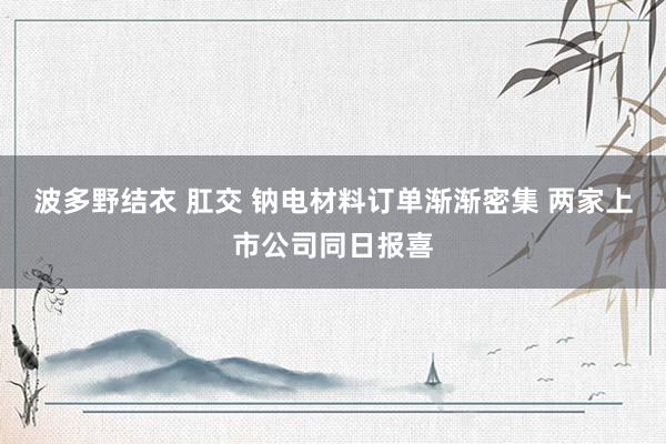 波多野结衣 肛交 钠电材料订单渐渐密集 两家上市公司同日报喜
