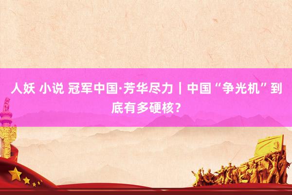 人妖 小说 冠军中国·芳华尽力｜中国“争光机”到底有多硬核？