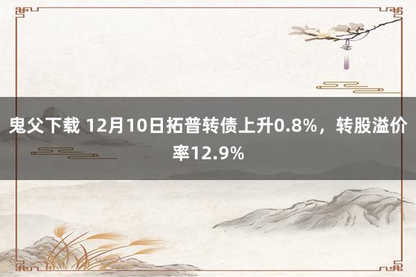 鬼父下载 12月10日拓普转债上升0.8%，转股溢价率12.9%