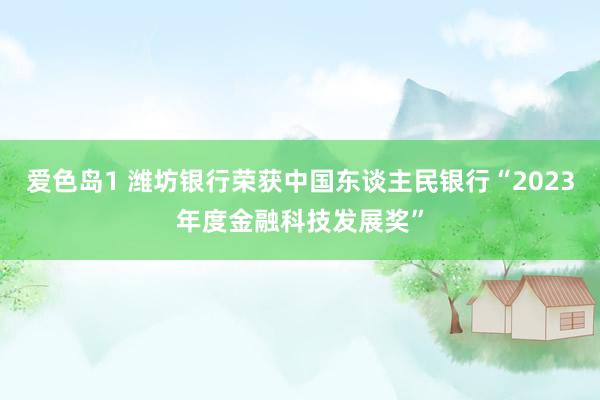 爱色岛1 潍坊银行荣获中国东谈主民银行“2023年度金融科技发展奖”