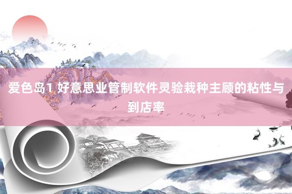 爱色岛1 好意思业管制软件灵验栽种主顾的粘性与到店率