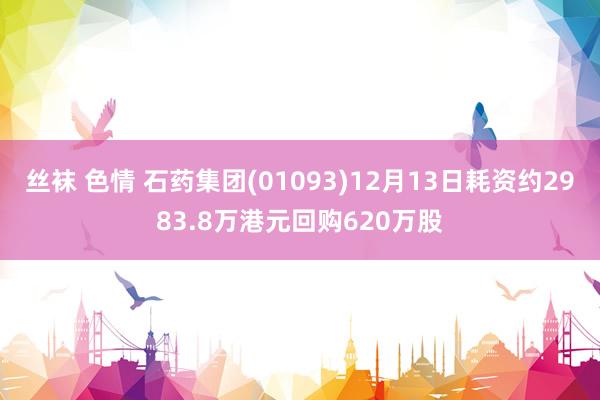 丝袜 色情 石药集团(01093)12月13日耗资约2983.8万港元回购620万股