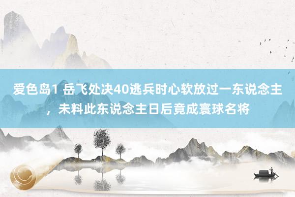 爱色岛1 岳飞处决40逃兵时心软放过一东说念主，未料此东说念主日后竟成寰球名将