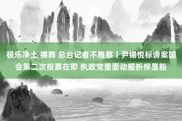极乐净土 裸舞 总台记者不雅察丨尹锡悦标谤案国会第二次投票在即 执政党里面动摇折柳显豁