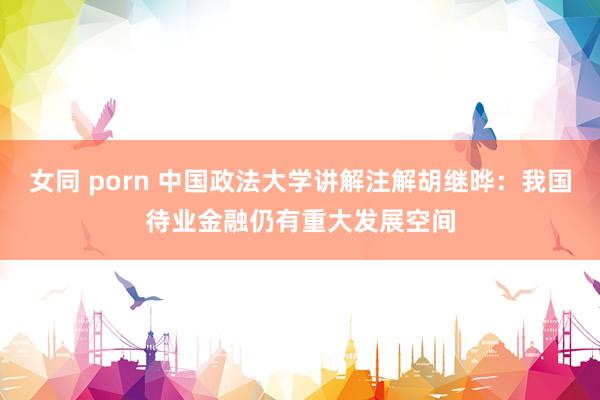 女同 porn 中国政法大学讲解注解胡继晔：我国待业金融仍有重大发展空间