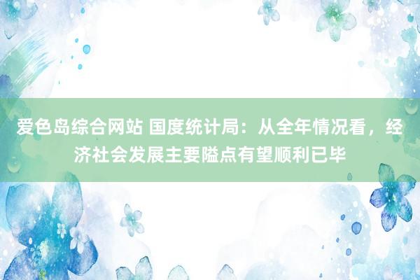 爱色岛综合网站 国度统计局：从全年情况看，经济社会发展主要隘点有望顺利已毕