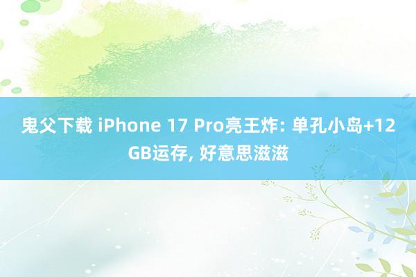 鬼父下载 iPhone 17 Pro亮王炸: 单孔小岛+12GB运存， 好意思滋滋