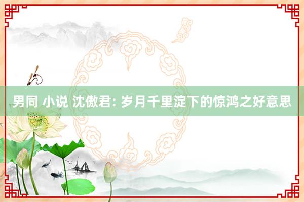 男同 小说 沈傲君: 岁月千里淀下的惊鸿之好意思
