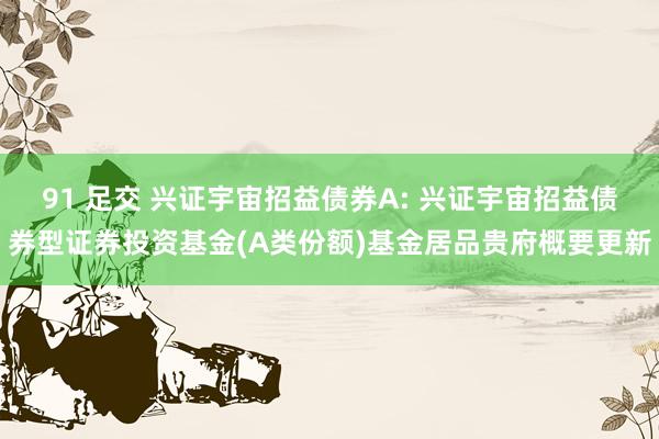 91 足交 兴证宇宙招益债券A: 兴证宇宙招益债券型证券投资基金(A类份额)基金居品贵府概要更新