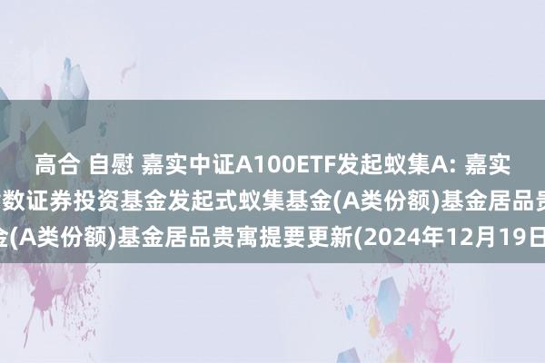 高合 自慰 嘉实中证A100ETF发起蚁集A: 嘉实中证A100交游型绽放式指数证券投资基金发起式蚁集基金(A类份额)基金居品贵寓提要更新(2024年12月19日)
