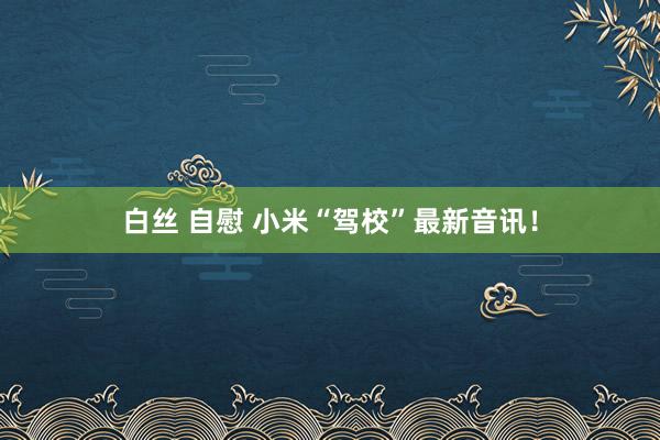 白丝 自慰 小米“驾校”最新音讯！