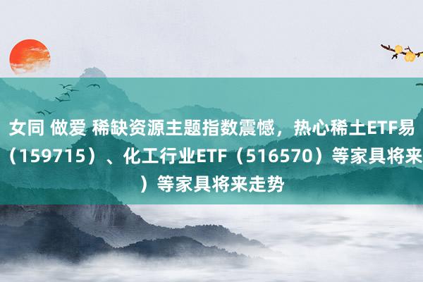 女同 做爱 稀缺资源主题指数震憾，热心稀土ETF易方达（159715）、化工行业ETF（516570）等家具将来走势