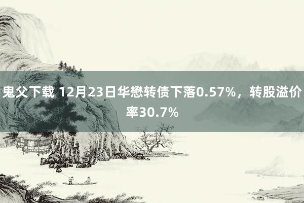 鬼父下载 12月23日华懋转债下落0.57%，转股溢价率30.7%
