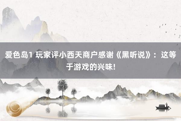 爱色岛1 玩家评小西天商户感谢《黑听说》：这等于游戏的兴味!