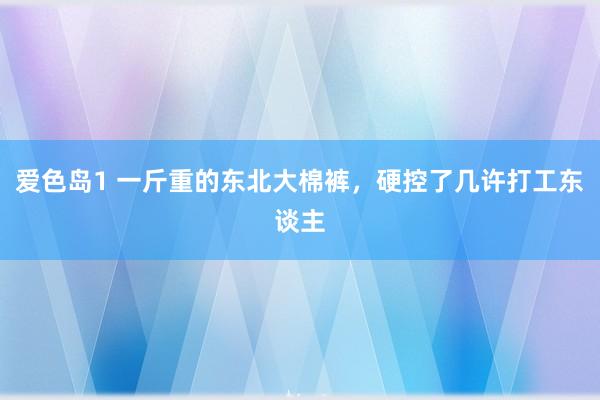 爱色岛1 一斤重的东北大棉裤，硬控了几许打工东谈主
