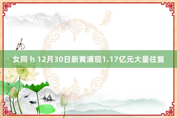 女同 h 12月30日新黄浦现1.17亿元大量往复