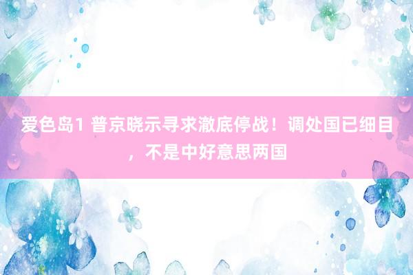 爱色岛1 普京晓示寻求澈底停战！调处国已细目，不是中好意思两国
