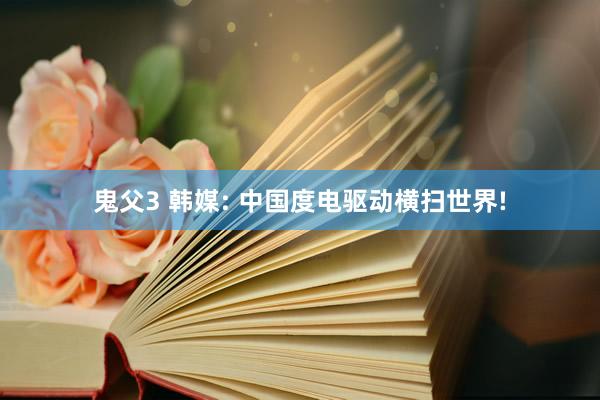 鬼父3 韩媒: 中国度电驱动横扫世界!