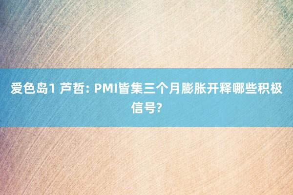 爱色岛1 芦哲: PMI皆集三个月膨胀开释哪些积极信号?