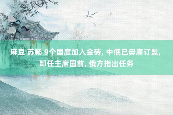 麻豆 苏畅 9个国度加入金砖， 中俄已毋庸订盟， 卸任主席国前， 俄方指出任务