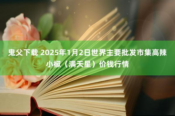 鬼父下载 2025年1月2日世界主要批发市集高辣小椒（满天星）价钱行情