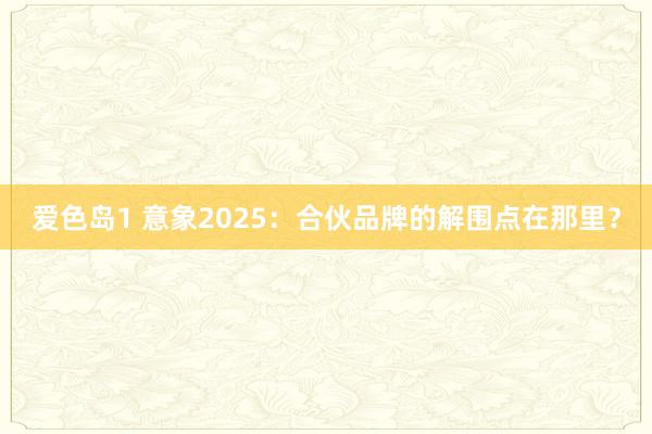 爱色岛1 意象2025：合伙品牌的解围点在那里？