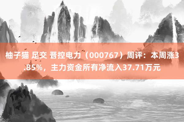 柚子猫 足交 晋控电力（000767）周评：本周涨3.85%，主力资金所有净流入37.71万元